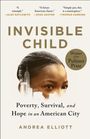 Andrea Elliott: Invisible Child, Buch