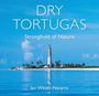 Ian Wilson-Navarro: Dry Tortugas, Buch