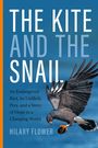 "The Kite and the Snail" von Hilary Flower. Ein Greifvogel fliegt mit einer Schnecke in den Krallen vor blauem Hintergrund.