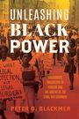 Peter D Blackmer: Unleashing Black Power, Buch