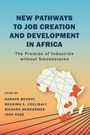 New Pathways to Job Creation and Development in Africa, Buch