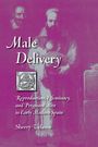 Sherry Velasco: Male Delivery, Buch