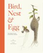 Walter de Raedt: Bird, Nest & Egg, Buch