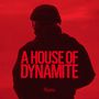 Kathryn Bigelow: A House of Dynamite, Buch