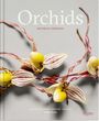 Robbie Honey: Orchids: Botanical Portraits, Buch