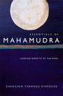 Khenchen Thrangu Rinpoche: Essentials of Mahamudra, Buch