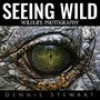 Dennis John Stewart: Seeing Wild, Buch