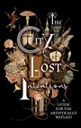 A. Valliard: The City of Lost Intentions, Buch