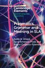 Aoife K Ahern: Pragmatics, Grammar and Meaning in Sla, Buch