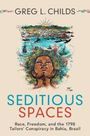 "Seditious Spaces", Greg L. Childs. Illustration eines nachdenklichen Gesichts, darüber eine bunte Landschaft mit Vögeln und Wasser.