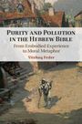 Yitzhaq Feder: Purity and Pollution in the Hebrew Bible, Buch