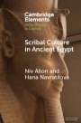 Niv Allon: Scribal Culture in Ancient Egypt, Buch