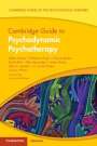 Adam Polnay: Cambridge Guide to Psychodynamic Psychotherapy, Buch