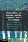 Michael Reiertsen: Effective Domestic Remedies and the European Court of Human Rights, Buch