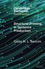 Giulia M L Bencini: Structural Priming in Sentence Production, Buch