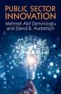 Mehmet Akif Demircioglu: Public Sector Innovation, Buch