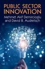 David B. Audretsch: Public Sector Innovation, Buch