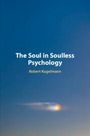 Robert Kugelmann: The Soul in Soulless Psychology, Buch