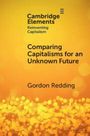 Gordon Redding: Comparing Capitalisms for an Unknown Future, Buch