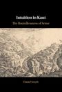 Daniel Smyth: Intuition in Kant, Buch