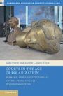 Iddo Porat: Courts in the Age of Polarization, Buch