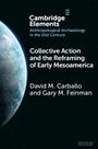 David M Carballo: Collective Action and the Reframing of Early Mesoamerica, Buch