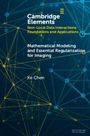 "Cambridge Elements: Non-Local Data Interactions. Mathematical Modelling and Essential Regularization for Imaging Applications. Ke Chen." Vordergrund geometrische Netzwerke auf dunklem Hintergrund.