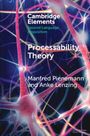 Anke Lenzing: Processability Theory, Buch