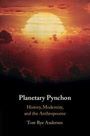 Tore Rye Andersen: Planetary Pynchon, Buch
