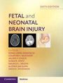 Titel: Fetal and Neonatal Brain Injury, Sixth Edition. Darunter drei medizinische Abbildungen und Auflistung von Editoren.