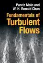 Parviz Moin: Fundamentals of Turbulent Flows, Buch