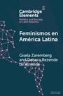 Gisela Zaremberg: Feminismos En América Latina, Buch