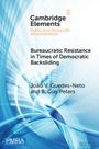 João V Guedes-Neto: Bureaucratic Resistance in Times of Democratic Backsliding, Buch
