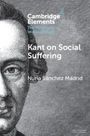 Nuria Sánchez Madrid: Kant on Social Suffering, Buch