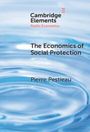 Pierre Pestieau: The Economics of Social Protection, Buch