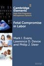 Lawrence D. Devoe: Fetal Compromise in Labor, Buch