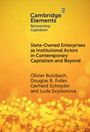 Olivier Butzbach: State-Owned Enterprises as Institutional Actors in Contemporary Capitalism and Beyond, Buch