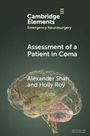 Alexander Shah: Assessment of a Patient in Coma, Buch