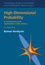 Roman Vershynin: High-Dimensional Probability, Buch