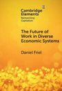 Daniel Friel: The Future of Work in Diverse Economic Systems, Buch