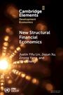 Jiajun Xu: New Structural Financial Economics, Buch