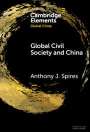 Anthony J Spires: Global Civil Society and China, Buch