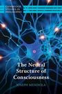 Joseph Mendola: The Neural Structure of Consciousness, Buch