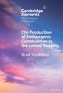 Brad Stoddard: The Production of Entheogenic Communities in the United States, Buch