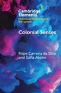 "Cambridge Elements: Histories of Emotions and the Senses. Colonial Senses. Filipe Carreira da Silva und Sofia Aboim." 
Blau-pinke abstrakte Muster.