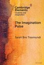 Sarah Bro Trasmundi: The Imagination Pulse, Buch