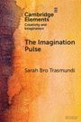 Sarah Bro Trasmundi: The Imagination Pulse, Buch