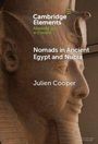 „Cambridge Elements: Ancient Egypt in Context“, „Nomads in Ancient Egypt and Nubia“, Julien Cooper; detailreiche ägyptische Statue.