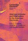 Erin C. Cassese: Abortion Attitudes and Polarization in the American Electorate, Buch