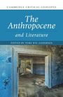Oberer Text: "The Anthropocene and Literature", "Edited by Tore Rye Andersen". Verfallener Raum mit Sand.